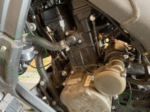 300_Rally_Kettenöler.JPG